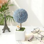 [ALLE] Moss Tree Diffuser Set – 14-Color Moss + Essential Oil + Topper Picks | Air-Purifying, Humidity Control & Natural Aroma Diffuser - Made in KOREA
